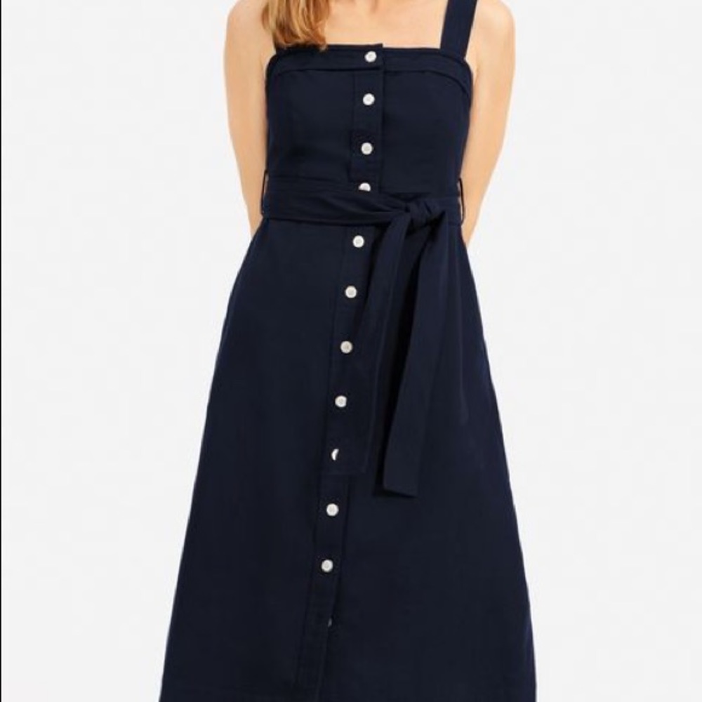 Everlane Goweave Navy Dress
